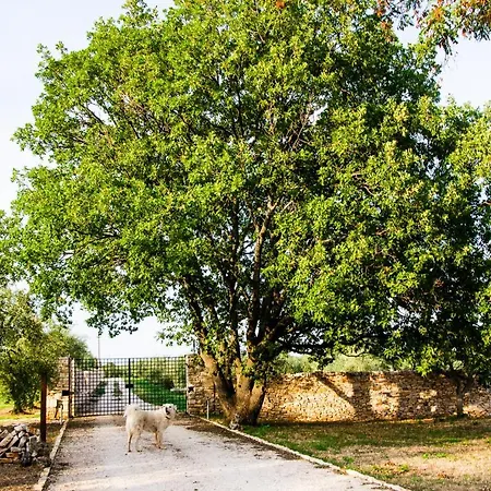 Torrechiara Eco Dimora Di Charme * Castel Del Monte (Apulia)