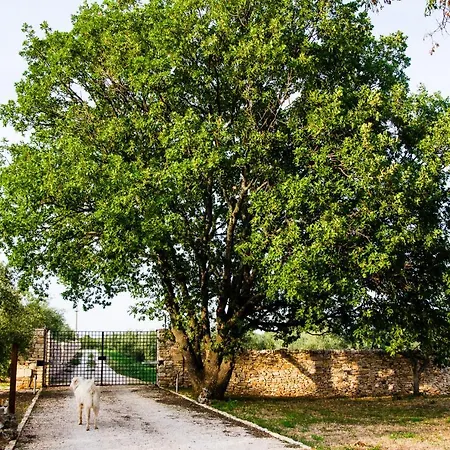 Masseria Torrechiara Eco Dimora Di Charme